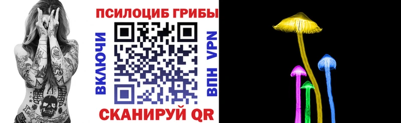 Купить закладки  Плёс  Псилоцибиновые грибы мицелий 